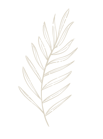 Leaf 6