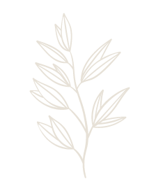 Leaf 5