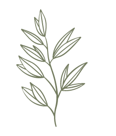 Leaf 1